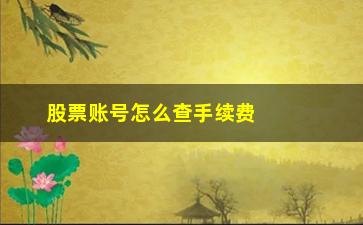 “股票账号怎么查手续费吗(怎么查股票账户的手续费)”/