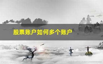 “股票账户如何多个账户(股票账户子账户有什么用)”/