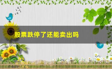 “股票跌停了还能卖出吗，了解股票交易中的跌停板规则”/