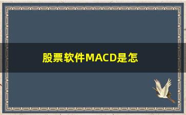 “股票软件MACD是怎么设置的(股票软件怎么看)”/