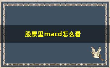 “股票里macd怎么看(股票的macd在哪看)”/