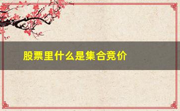 “股票里什么是集合竞价(什么是股票集合竞价时间)”/