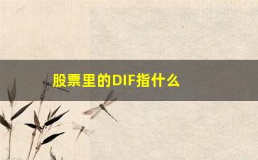 “股票里的DIF指什么(dif是指什么意思)”/