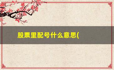 “股票里配号什么意思(股票里s是什么意思)”/