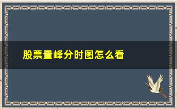 “股票量峰分时图怎么看(股票的分时图怎么看)”/