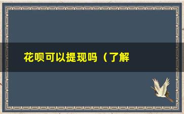 “花呗可以提现吗（了解花呗提现相关事项）”/