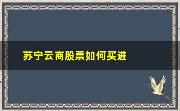 “苏宁云商股票如何买进(苏宁云商股票股吧)”/