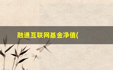 “融通互联网基金净值(融通互联网传媒基金)”/