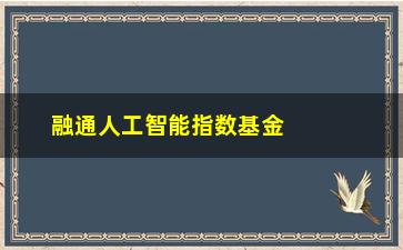 “融通人工智能指数基金(融通人工智能663基金)”/