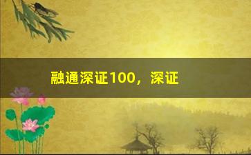 “融通深证100，深证100指数基金的投资策略和优势”/