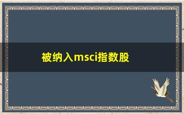 “被纳入msci指数股票有哪些(新纳入MSCI中国指数的股票)”/