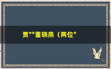 “贾**董晓燕（两位***的创业故事）”/