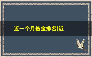 “近一个月基金排名(近一周基金排名)”/