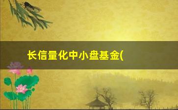 “长信量化中小盘基金(申万菱信量化小盘基金怎么样)”/