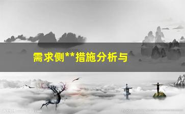 “需求侧**措施分析与实践”/