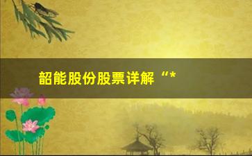 “韶能股份股票详解“**”之后的雄起！”/