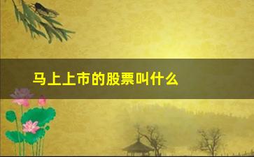 “马上上市的股票叫什么意思(公司上市前的股票叫什么)”/