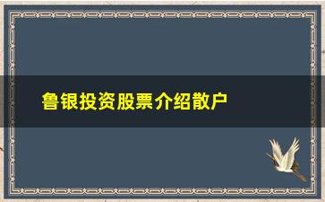 “鲁银投资股票介绍散户必学的抓涨技巧”/