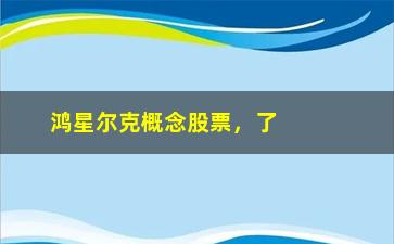 “鸿星尔克概念股票，了解鸿星尔克股票的投资价值”/