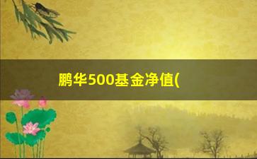 “鹏华500基金净值(鹏华500基金净值多少)”/